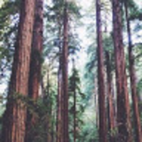 Meet your Posher, B - Picture 1 of 1